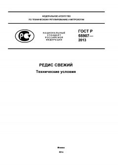 ГОСТ Р 55907-2013