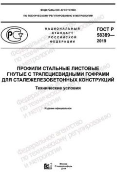 ГОСТ Р 58389-2019