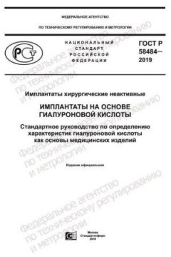 ГОСТ Р 58484-2019