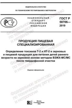 ГОСТ Р 58706-2019