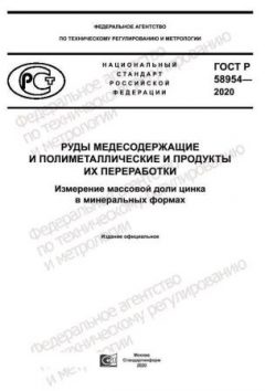 ГОСТ Р 58954-2020