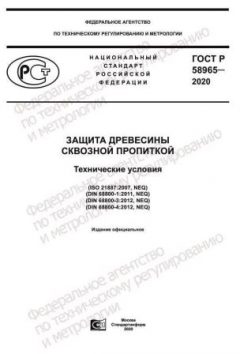 ГОСТ Р 58965-2020