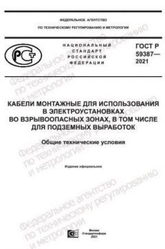 ГОСТ Р 59387-2021