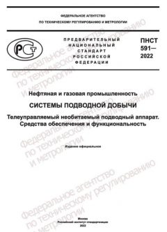 ПНСТ 591-2022