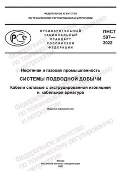 ПНСТ 597-2022