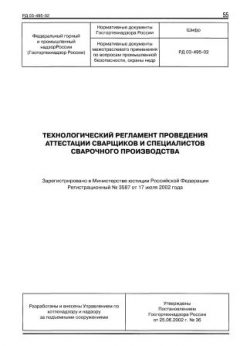 РД 03-495-02